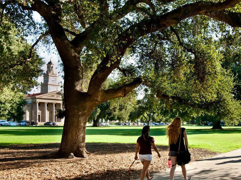 Image card - Students walking on campus